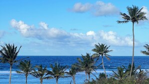 Vista sulla costa, con palme e cielo azzurro terso.