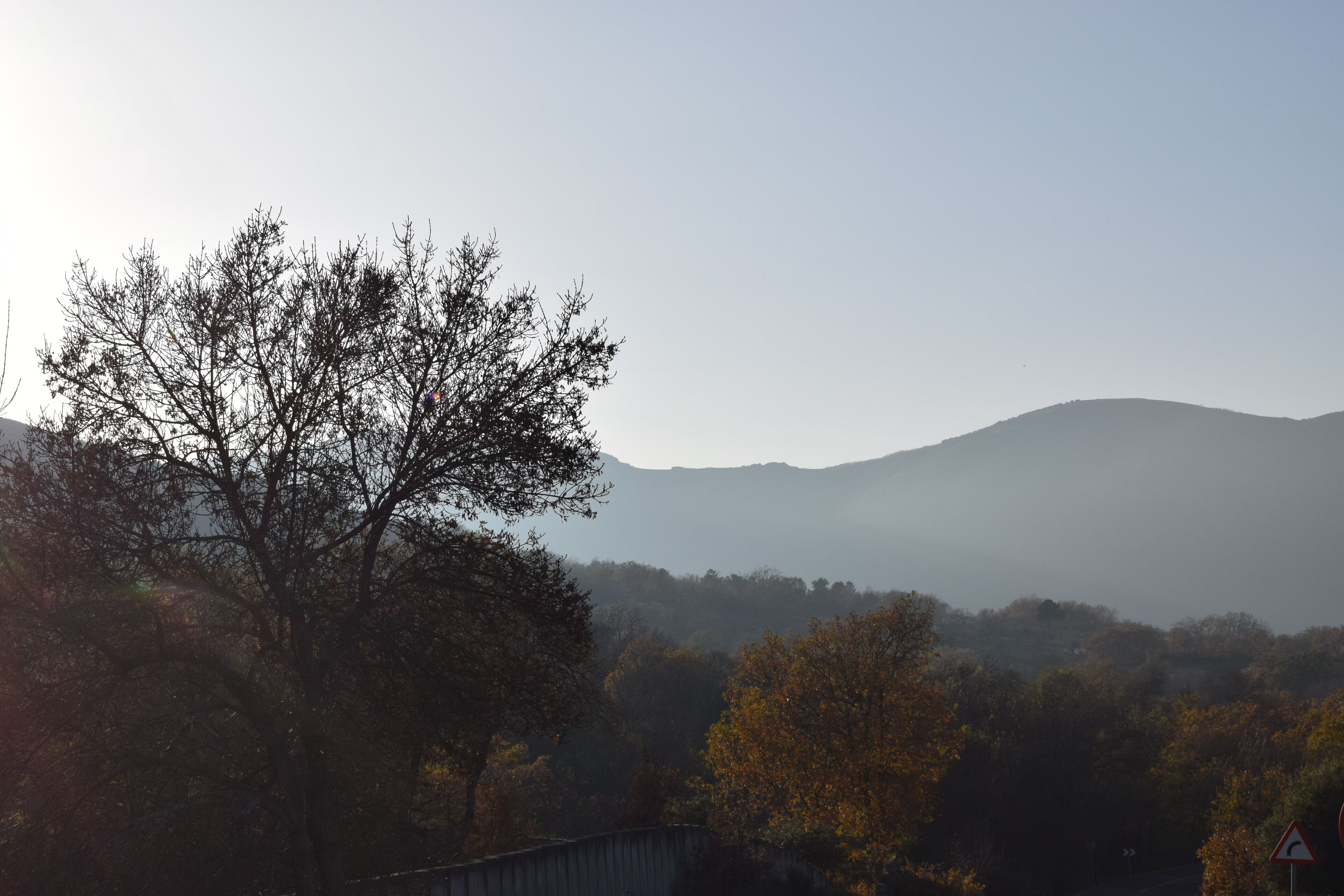 A landscape with a tree in the foreground, a road, and hills in the background.