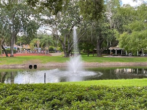 Parco della struttura