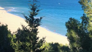 Blick auf die Küste mit einem Sandstrand, blauem Meer und üppigen, grünen Bäumen im Vordergrund.
