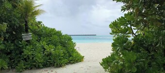 Dhiffushi Tourist Hotel, Maldives

