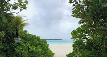 Dhiffushi Tourist Hotel, Maldives