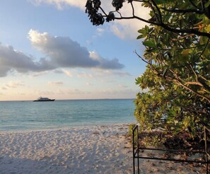 Playa