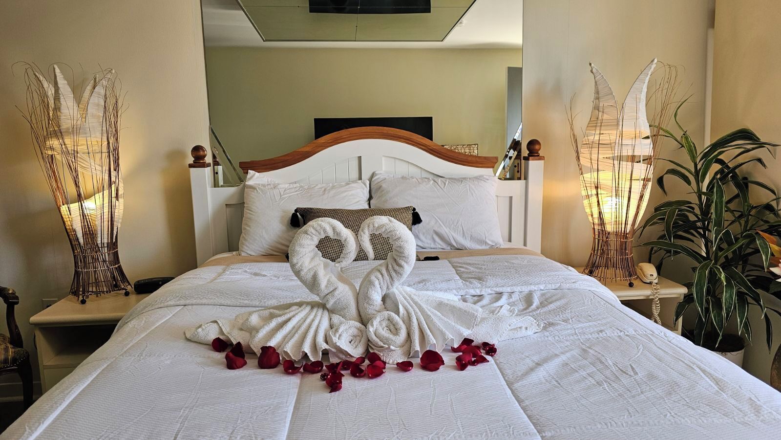 Escrivaninha, Wi-Fi de cortesia