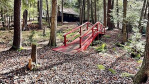 A forested area with a wooden bridge leading to a building with a metal roof. - Koi at the Lake by Taylor Made Deep Creek (Oakland)