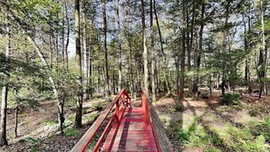 A wooden bridge in a forest with tall trees and a clear sky. - Koi at the Lake by Taylor Made Deep Creek (Oakland)
