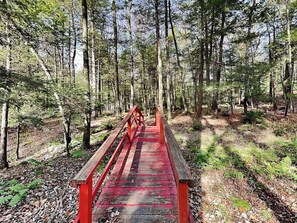En träbro i en skog med höga träd och en klar himmel.