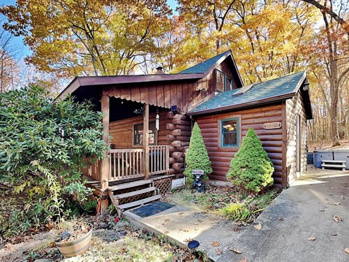 Cozy Cabin by Taylor Made Deep Creek