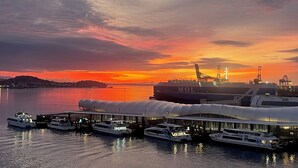 A large cruise ship docked at a port with several smaller boats nearby. - Princes Wharf - Penthouse - Stunning Views (Auckland)