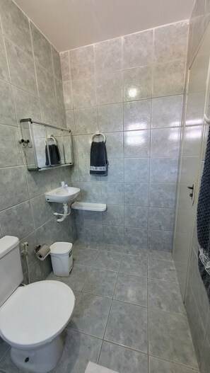 シャワー、トイレットペーパー