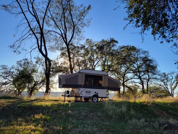 A caravan parked in a grassy area with trees around.