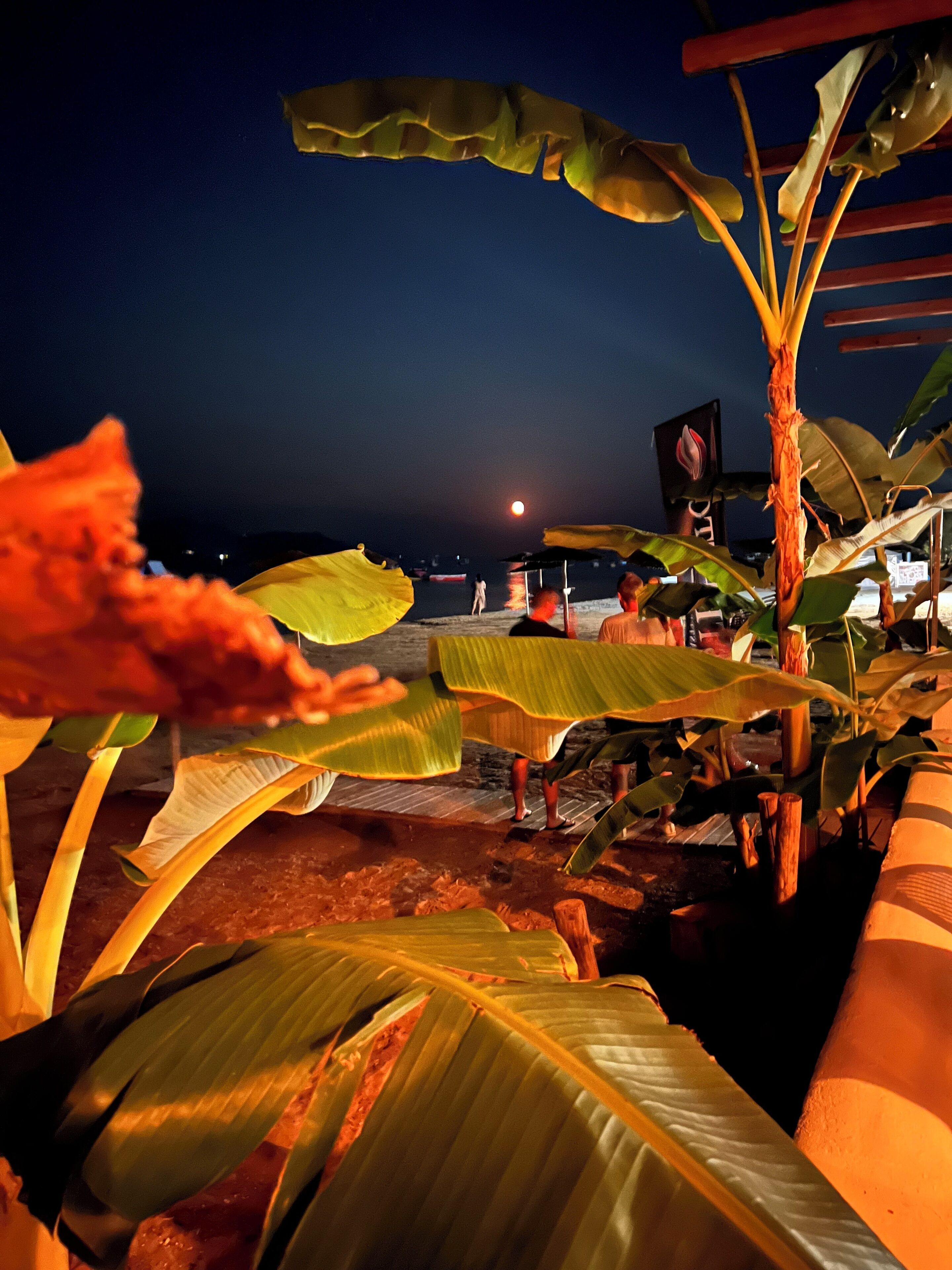 Photo - Erosea Beach Resort