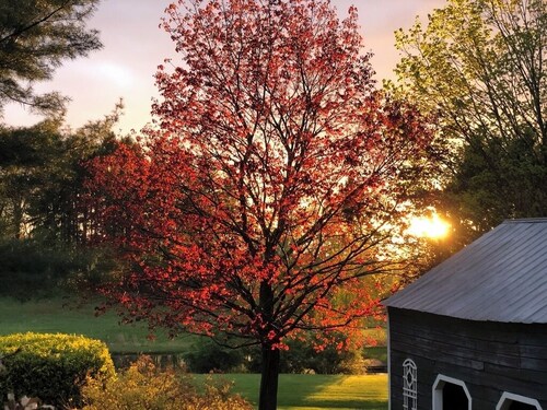  Charming Rhinebeck Cottage, 5 min. from town, King Bed!