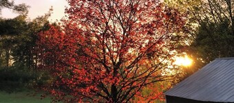 Charming Rhinebeck Cottage, 5 min. from town, King Bed!