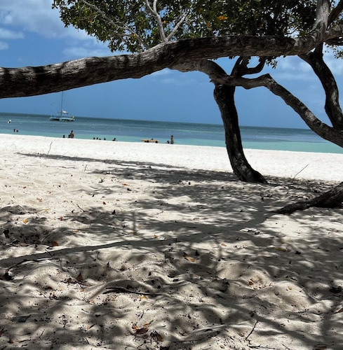 Carefree holiday in a luxury villa with an infinity pool and jacuzzi (non-smoke)