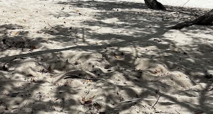 Carefree holiday in a luxury villa with an infinity pool and jacuzzi (non-smoke)