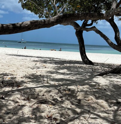 Carefree holiday in a luxury villa with an infinity pool and jacuzzi (non-smoke)