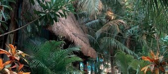 Kin Hostal and Camping 