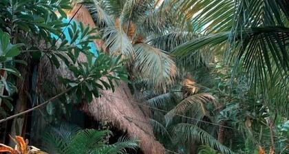 Kin Hostal and Camping