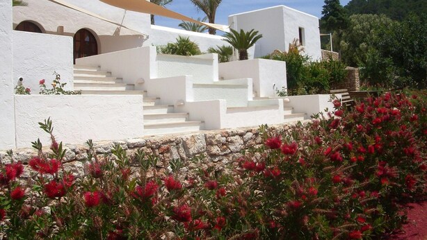 A white building with a staircase leading to a door, surrounded by red flowering plants and palm trees. - Amazing Villa With Swimming Pool (San Juan de Alicante)