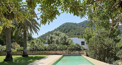 Amazing Villa With Swimming Pool