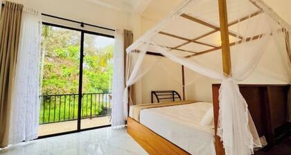 Aurelia - The Remote Escape A