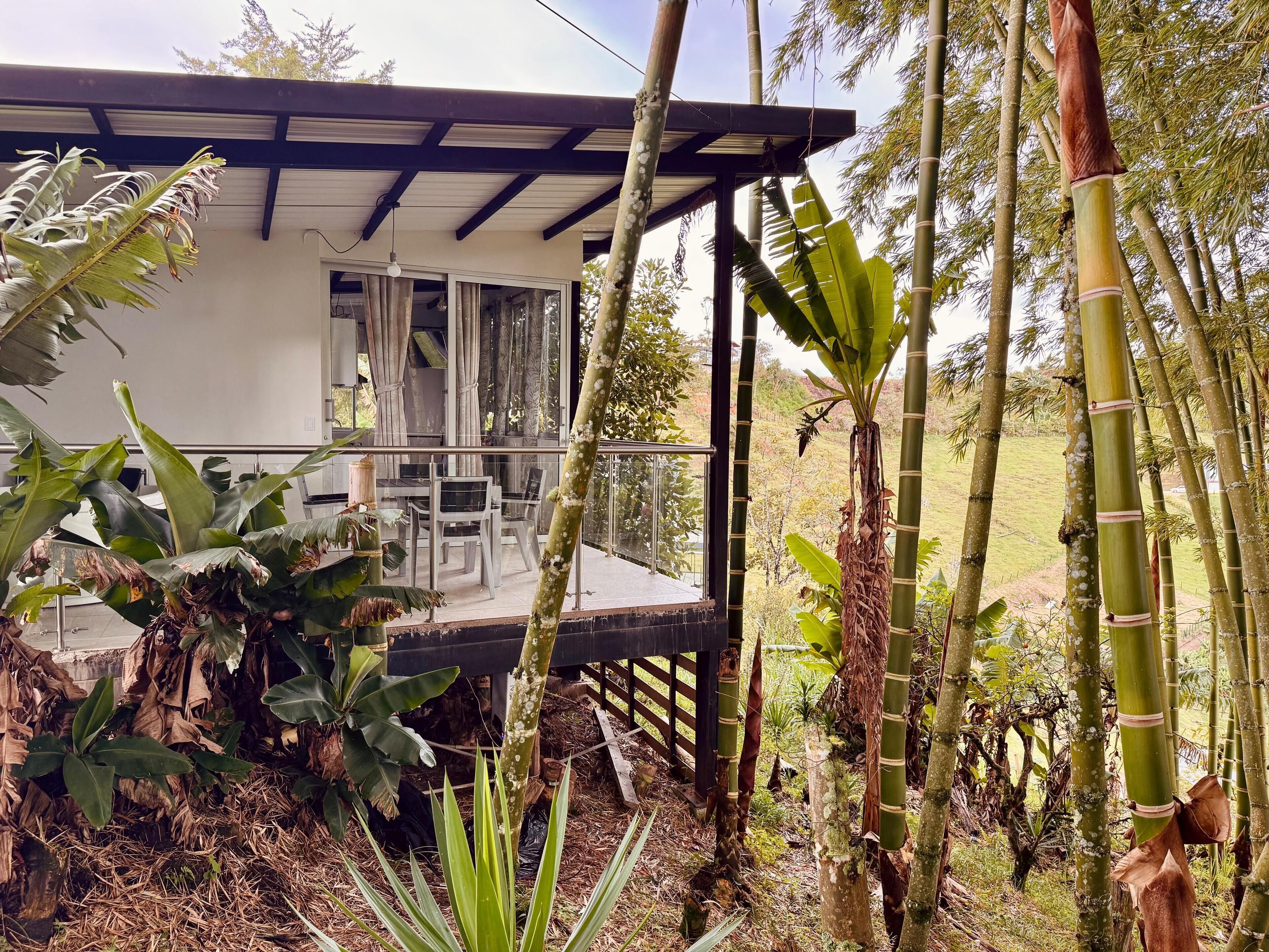 A house with a covered porch, surrounded by bamboo and tropical plants.