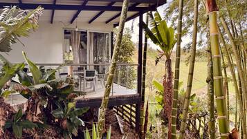 A house with a covered porch, surrounded by bamboo and tropical plants.