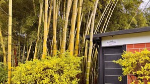 A bamboo grove with a black door labeled "Sombra" and a red brick wall. - Alto del sion  peñol guatape  (El Peñol)