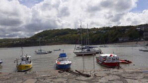 Un puerto con varios barcos amarrados, una costa rocosa y un cerro cubierto de bosque al fondo.