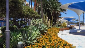 Exterior - Guadiana Sol (Estepona)