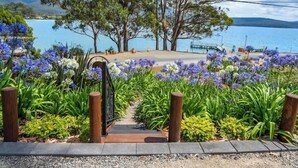 A pathway leading to a beach with a view of the sea and mountains. - Sanctuary Bruny Island - Dome 1 (suitable for two guests) (Adventure Bay)