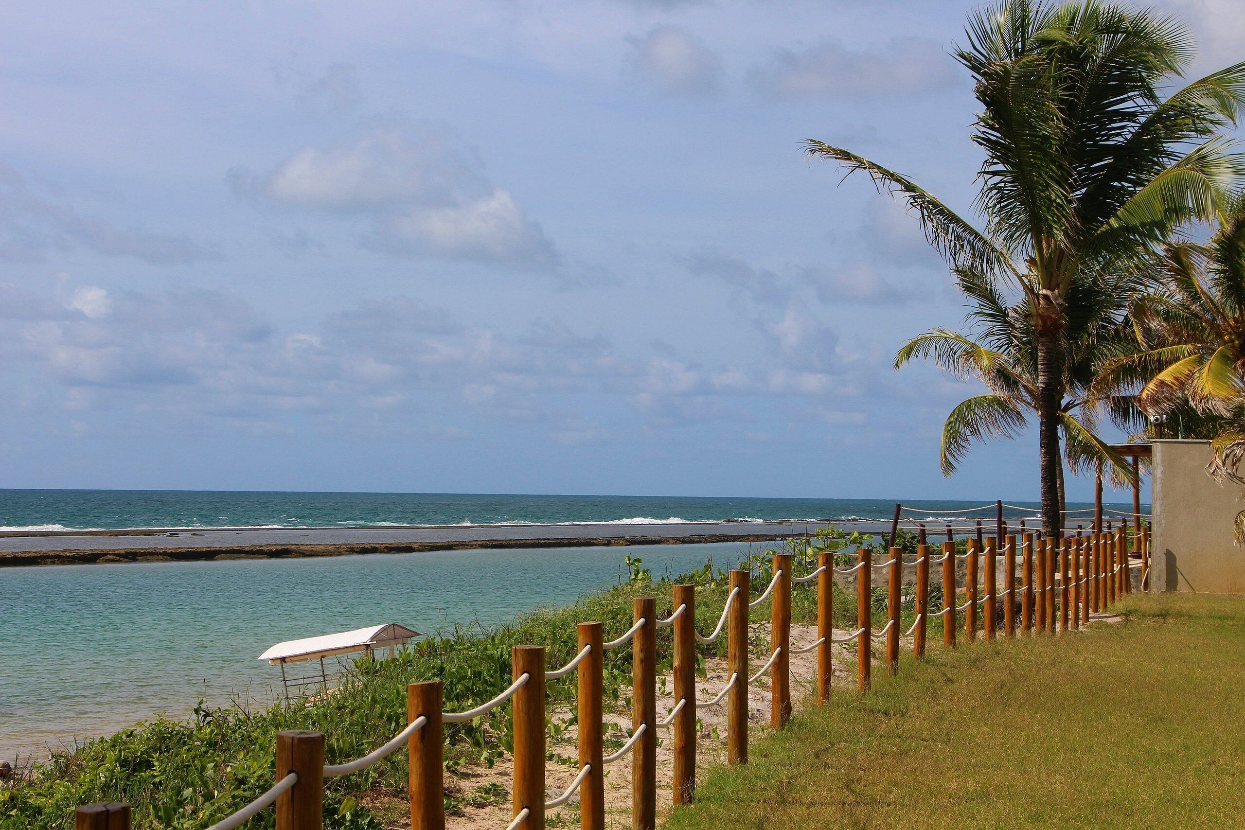 Une vue sur la côte, avec une clôture en bois, un palmier et une plage.