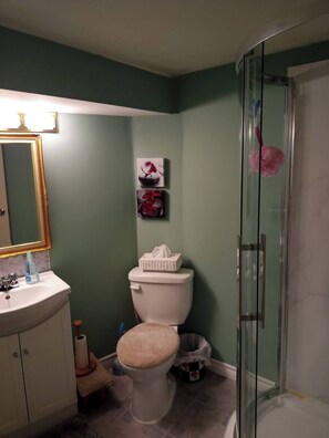 Bathroom features a toilet, glass shower enclosure, and a sink with a mirror.