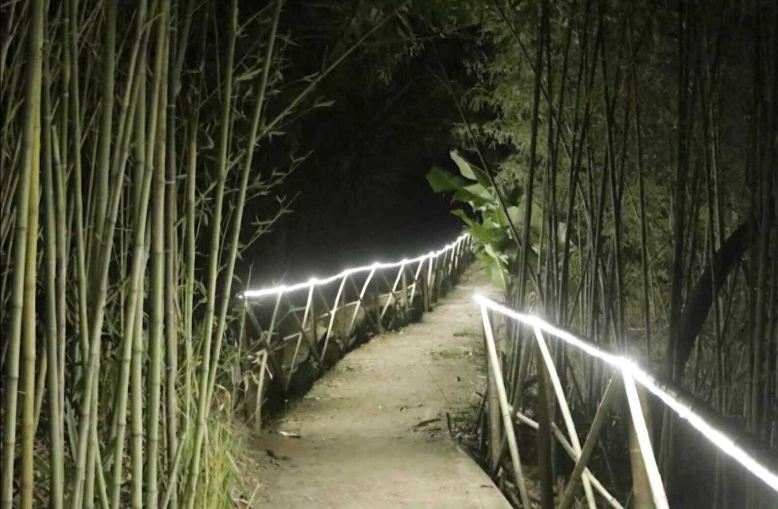 ファミリー コテージ 5 ベッドルーム ガーデンビュー | テラス / パティオ