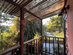 Property grounds - Charming private house in the heart of Echo Park, surrounded by beautiful nature (Los Angeles)