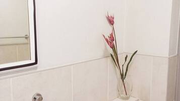 Shower, towels, soap, toilet paper