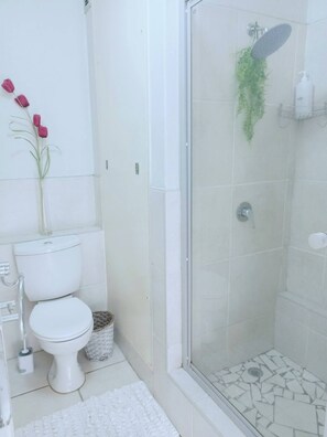 淋浴设施、毛巾、肥皂、卫生纸