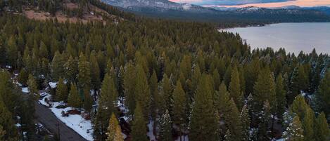 A forested area with a cabin and a road.