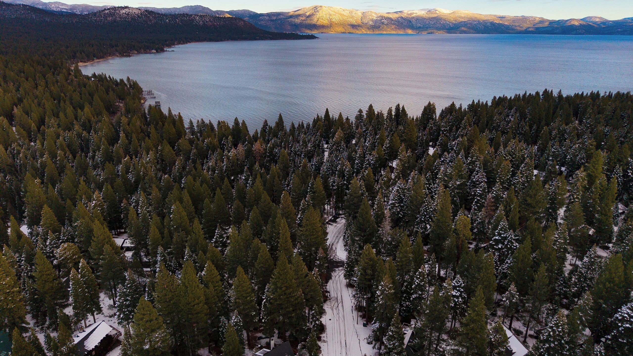 Une zone boisée avec un lac et des montagnes en arrière-plan.