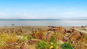 Ein Strand mit trockenem Gras und Treibholz.