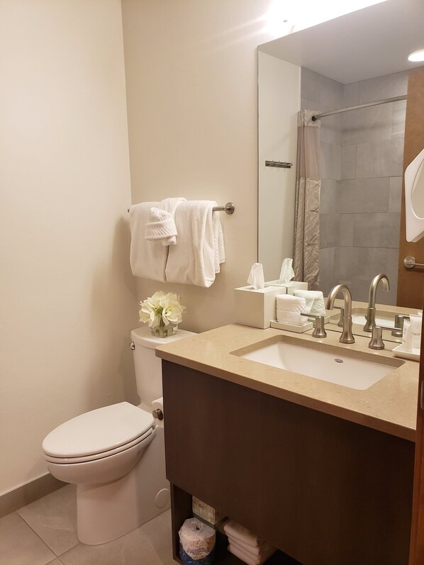A bathroom with a toilet, sink, and mirror.