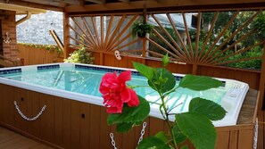 Piscine chauffée