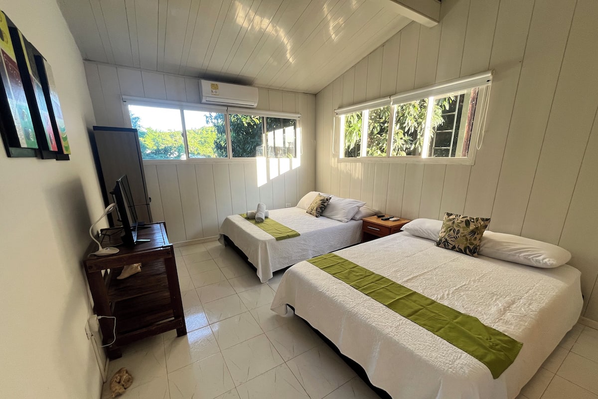 A hotel room with two beds, a TV, a desk, and a window with a view of greenery.