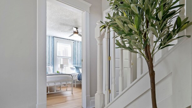 Una escalera con barandilla blanca y una planta en maceta.