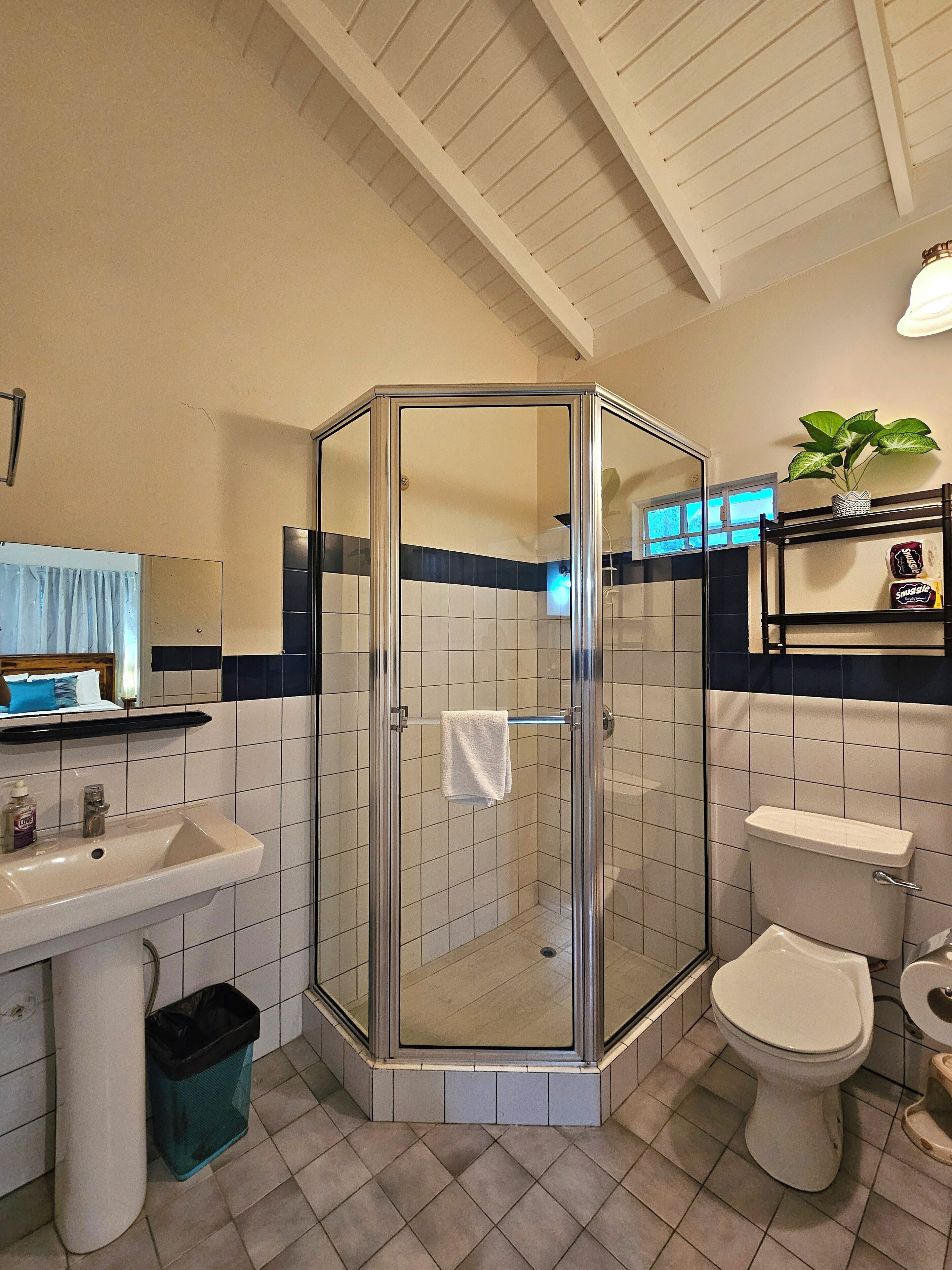 Shower, towels, soap, toilet paper