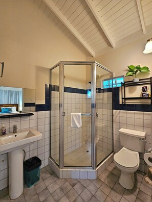 Shower, towels, soap, toilet paper