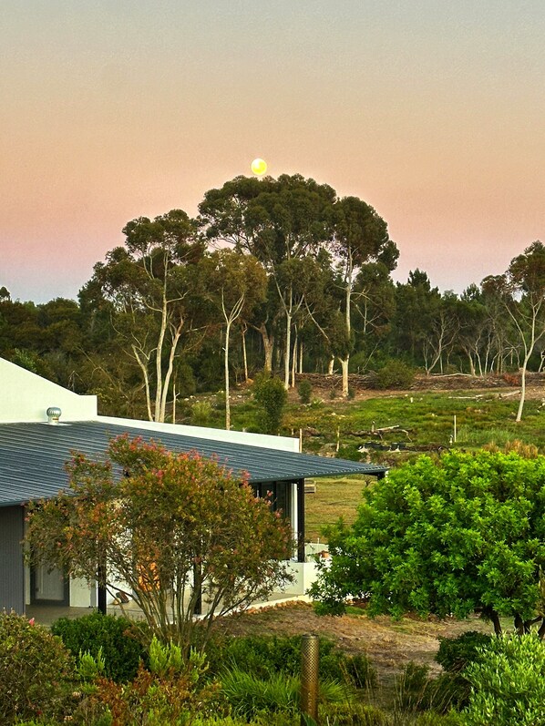 Exterior - WindHorse Shepherds Hut situated on our rustic eco equestrian small holding. (Napier)