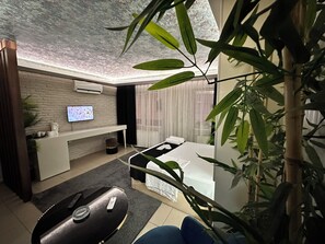 Superior Studio Suite, City View | In-room safe, soundproofing, iron/ironing board, free WiFi - Grani Butik Otel (Bursa)
