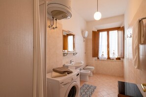 Shower, hair dryer, bidet, towels